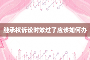 继承权诉讼时效过了应该如何办