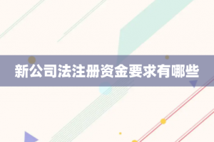 新公司法注册资金要求有哪些