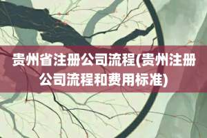 贵州省注册公司流程(贵州注册公司流程和费用标准)