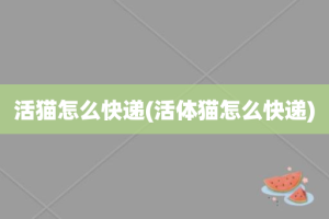 活猫怎么快递(活体猫怎么快递)