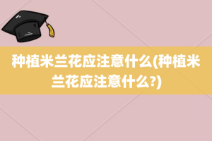 种植米兰花应注意什么(种植米兰花应注意什么?)