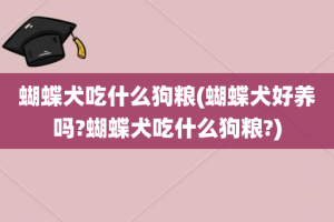 蝴蝶犬吃什么狗粮(蝴蝶犬好养吗?蝴蝶犬吃什么狗粮?)