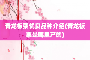 青龙板栗优良品种介绍(青龙板栗是哪里产的)