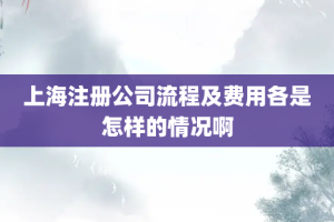 上海注册公司流程及费用各是怎样的情况啊