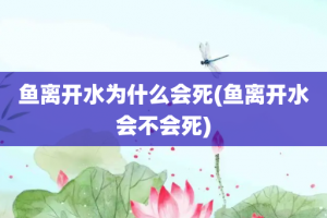 鱼离开水为什么会死(鱼离开水会不会死)