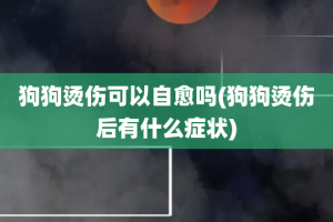 狗狗烫伤可以自愈吗(狗狗烫伤后有什么症状)