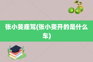张小斐座驾(张小斐开的是什么车)