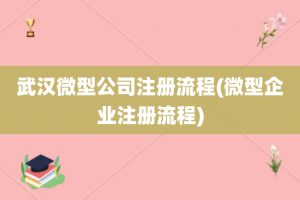 武汉微型公司注册流程(微型企业注册流程)