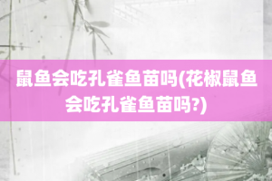 鼠鱼会吃孔雀鱼苗吗(花椒鼠鱼会吃孔雀鱼苗吗?)