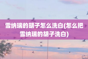 雪纳瑞的胡子怎么洗白(怎么把雪纳瑞的胡子洗白)