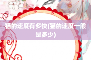 猫的速度有多快(猫的速度一般是多少)