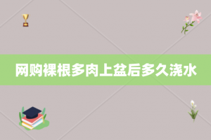 网购裸根多肉上盆后多久浇水