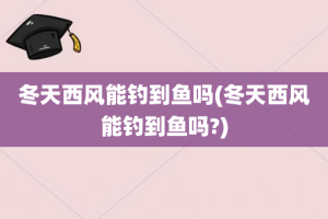 冬天西风能钓到鱼吗(冬天西风能钓到鱼吗?)