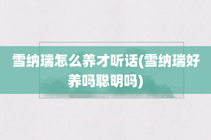 雪纳瑞怎么养才听话(雪纳瑞好养吗聪明吗)