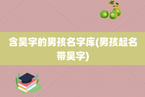 含昊字的男孩名字库(男孩起名带昊字)