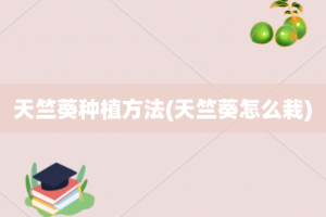 天竺葵种植方法(天竺葵怎么栽)