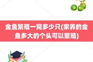 金鱼繁殖一窝多少只(家养的金鱼多大的个头可以繁殖)