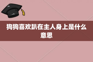 狗狗喜欢趴在主人身上是什么意思
