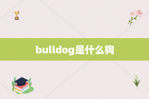 bulldog是什么狗