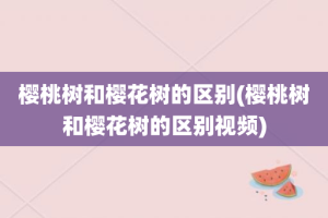 樱桃树和樱花树的区别(樱桃树和樱花树的区别视频)