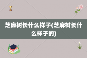 芝麻树长什么样子(芝麻树长什么样子的)