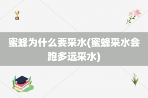 蜜蜂为什么要采水(蜜蜂采水会跑多远采水)