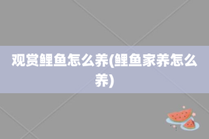 观赏鲤鱼怎么养(鲤鱼家养怎么养)