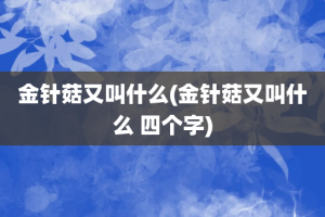 金针菇又叫什么(金针菇又叫什么 四个字)