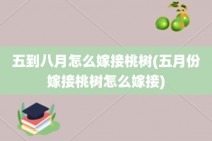 五到八月怎么嫁接桃树(五月份嫁接桃树怎么嫁接)