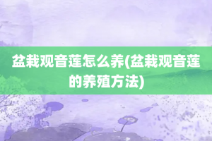 盆栽观音莲怎么养(盆栽观音莲的养殖方法)