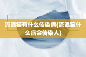 流浪猫有什么传染病(流浪猫什么病会传染人)