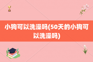 小狗可以洗澡吗(50天的小狗可以洗澡吗)