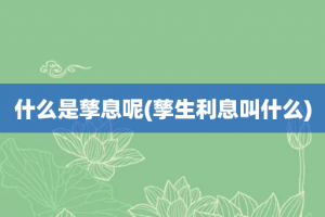 什么是孳息呢(孳生利息叫什么)