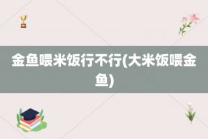 金鱼喂米饭行不行(大米饭喂金鱼)