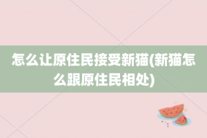 怎么让原住民接受新猫(新猫怎么跟原住民相处)