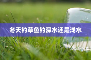 冬天钓草鱼钓深水还是浅水