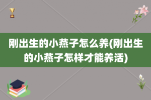 刚出生的小燕子怎么养(刚出生的小燕子怎样才能养活)