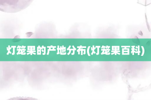 灯笼果的产地分布(灯笼果百科)