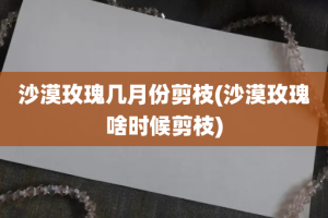 沙漠玫瑰几月份剪枝(沙漠玫瑰啥时候剪枝)