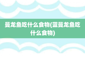 曼龙鱼吃什么食物(蓝曼龙鱼吃什么食物)