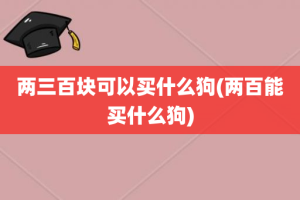 两三百块可以买什么狗(两百能买什么狗)
