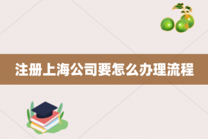 注册上海公司要怎么办理流程