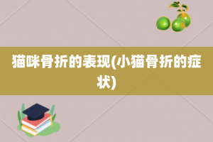 猫咪骨折的表现(小猫骨折的症状)
