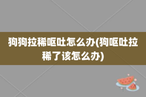 狗狗拉稀呕吐怎么办(狗呕吐拉稀了该怎么办)