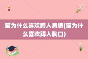 猫为什么喜欢蹲人肩膀(猫为什么喜欢蹲人胸口)