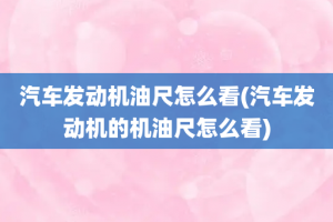 汽车发动机油尺怎么看(汽车发动机的机油尺怎么看)