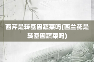 西芹是转基因蔬菜吗(西兰花是转基因蔬菜吗)