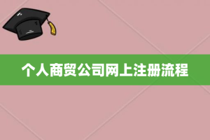 个人商贸公司网上注册流程