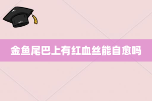 金鱼尾巴上有红血丝能自愈吗