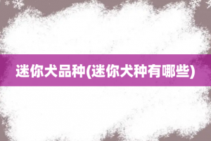 迷你犬品种(迷你犬种有哪些)